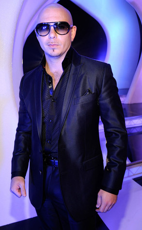 Pitbull Pitbull
